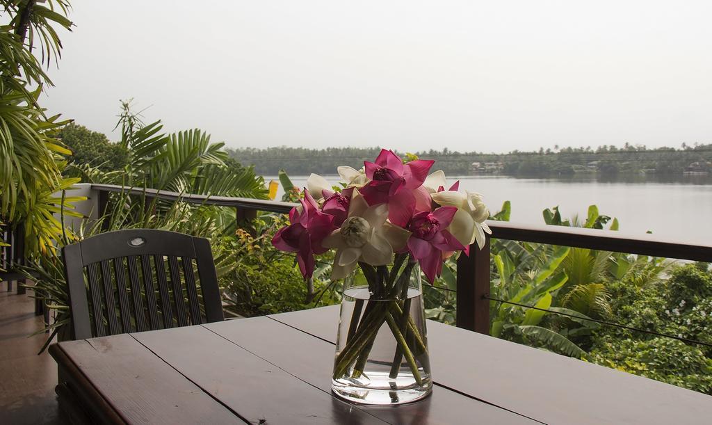 Thumbelina Apartments & Hotel Aluthgama Exteriér fotografie